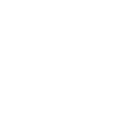 v0 Logo